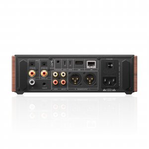 FiiO K17 R2R Desktop DAC and Headphone Amplifier