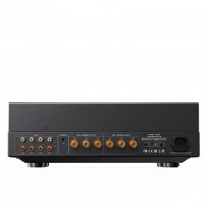 FiiO EA13 High-Performance Tube Power Ampifier